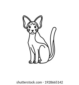 Isolated outline of a cat - Vector illustration
