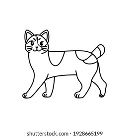 Isolated outline of a cat - Vector illustration