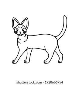 Esbozo aislado de un gato - Ilustración vectorial