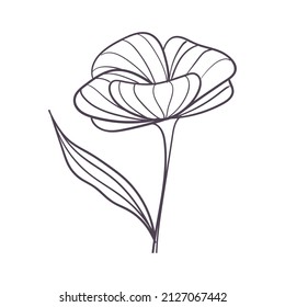 Esquema aislado de una flor Vector