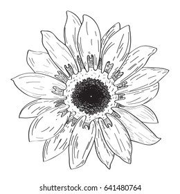 Isolated outline of a flower, Vector illustration