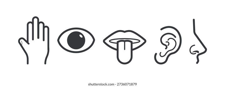 Isolated outline illustration of five human senses tongue taste eyes sight ears hearing nose smell skin touch educational minimal icon