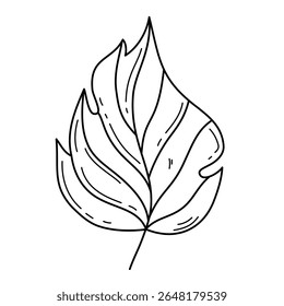 Isolated outline leaf. Hand drawn doodle style design element on white background. Vector illustration