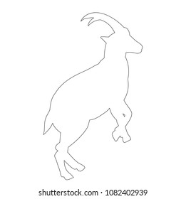  isolated, outline mountain goat on white background