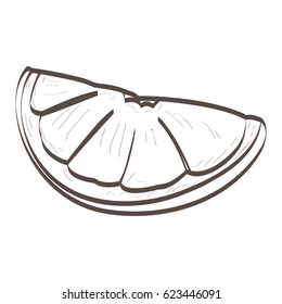 Isolated outline of an orange cut, Vector illustration