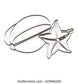 Isolated outline of a pair of carambolos, Vector illustration