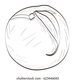 Isolated outline of a peach, Vector illustration
