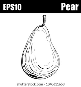  Isolated outline pear. Vector illustration
