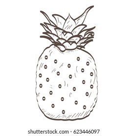 Isolated outline of a pineapple, Vector illustration