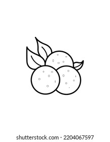 isolated outline of plam fruit,  illustration - plam vector isolated on white background. for home decor such as posters, wall art, tote bag, t-shirt print.