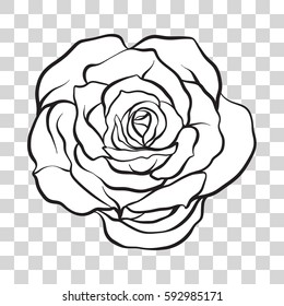 Isolated outline rose flower. Stock line vector illustration.