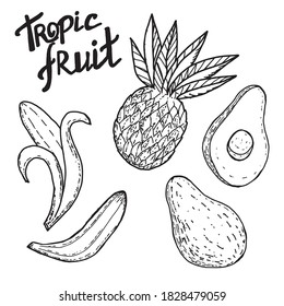 Isolated over white background objects. Exotic fruits. Made using doodle technique. Fruit in black and white. Can be applied to product labels, packaging bags and food display stands.