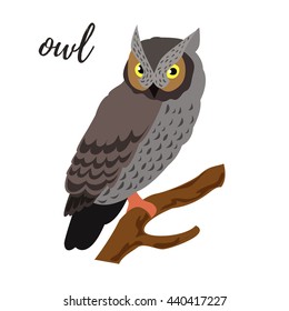Isolated owl bird sitting on a branch, vector illustration
