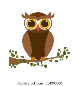 Isolated owl cartoon design