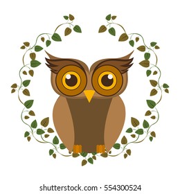 Isolated owl cartoon design