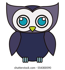 Isolated owl cartoon design