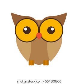 Isolated owl cartoon design