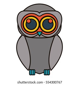 Isolated owl cartoon design