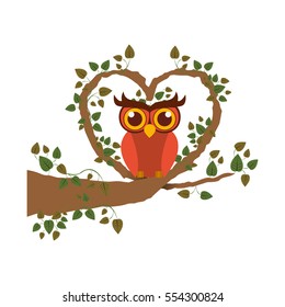 Isolated owl cartoon design