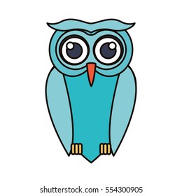 Isolated owl cartoon design