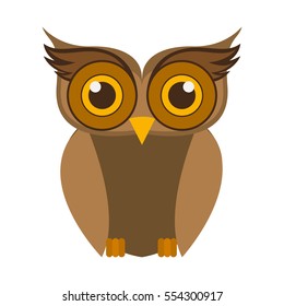 Isolated owl cartoon design