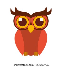 Isolated owl cartoon design