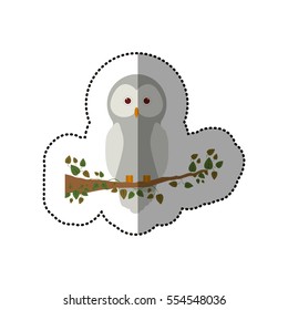 Isolated owl cartoon design