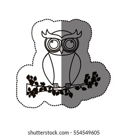 Isolated owl cartoon design