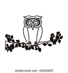 Isolated owl cartoon design