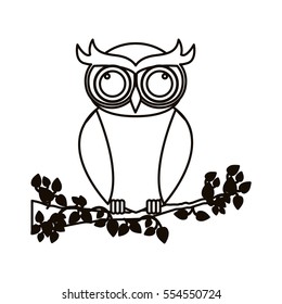 Isolated owl cartoon design