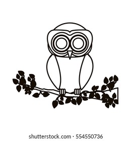 Isolated owl cartoon design