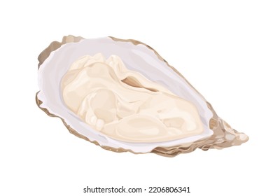 Isolated Oyster On A White Background. Trendy Healthy Food. Oyster Shell. Print, Banner, Label, Poster, Sticker, Logo. Vector Illustration.