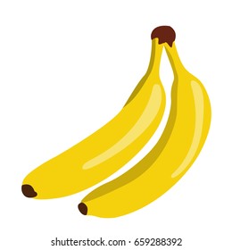 Isolated pair of bananas on a white background, Vector illustration