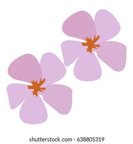 Isolated pair of colored flowers on a white background, Vector illustration