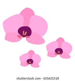 Isolated pair of colored flowers on a white background, Vector illustration