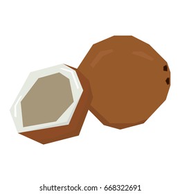 Isolated pair of geometric coconuts, Vector illustration