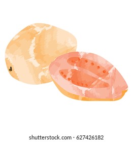 Isolated pair of papayas on a white background, Vector illustration