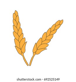 Isolated pair of wheat icons on a white background, Vector illustration