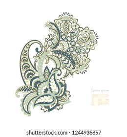 isolated paisley vector ornament