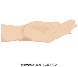 einzelne Palme auf weißem Hintergrund Vektorillustration-Design