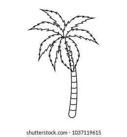 Isolated palm tree design