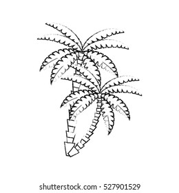 Isolated palm tree design