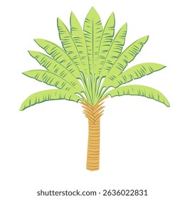 Isolated palm tree element on white background