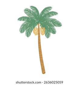 Isolated palm tree element on white background