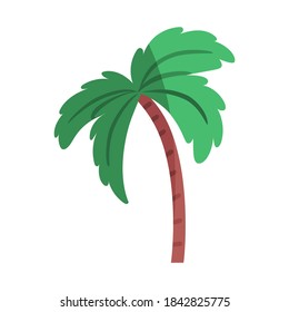 Isolated palm tree icon. Nativity characters icon - Vector