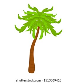 Isolated palm tree on a white background - Vector