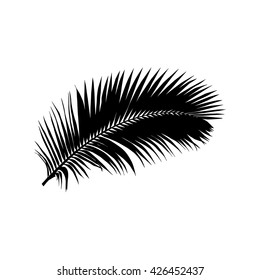 isolated palm tree silhouette on white background