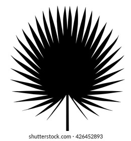 isolated palm tree silhouette on white background