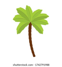 Isolated palm tree. Tropical tree image - Vector
