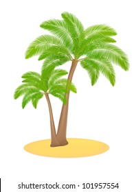 Isolated Palm tree (two trees) in a sand (islet). Summer vector illustration on white background